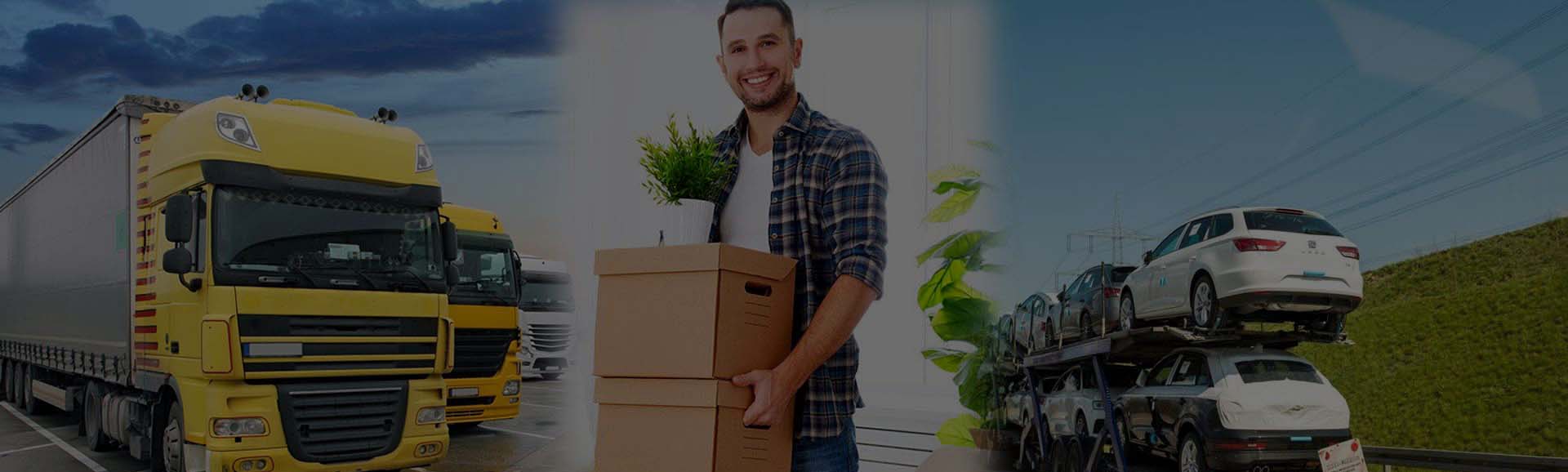 packers and movers, movers and packers